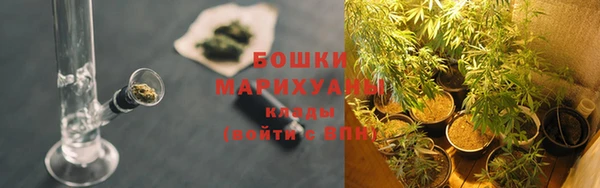 первитин Богородицк
