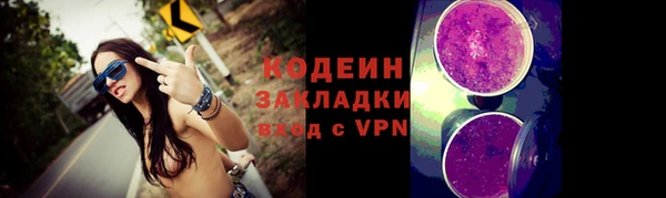 ПСИЛОЦИБИНОВЫЕ ГРИБЫ Бородино